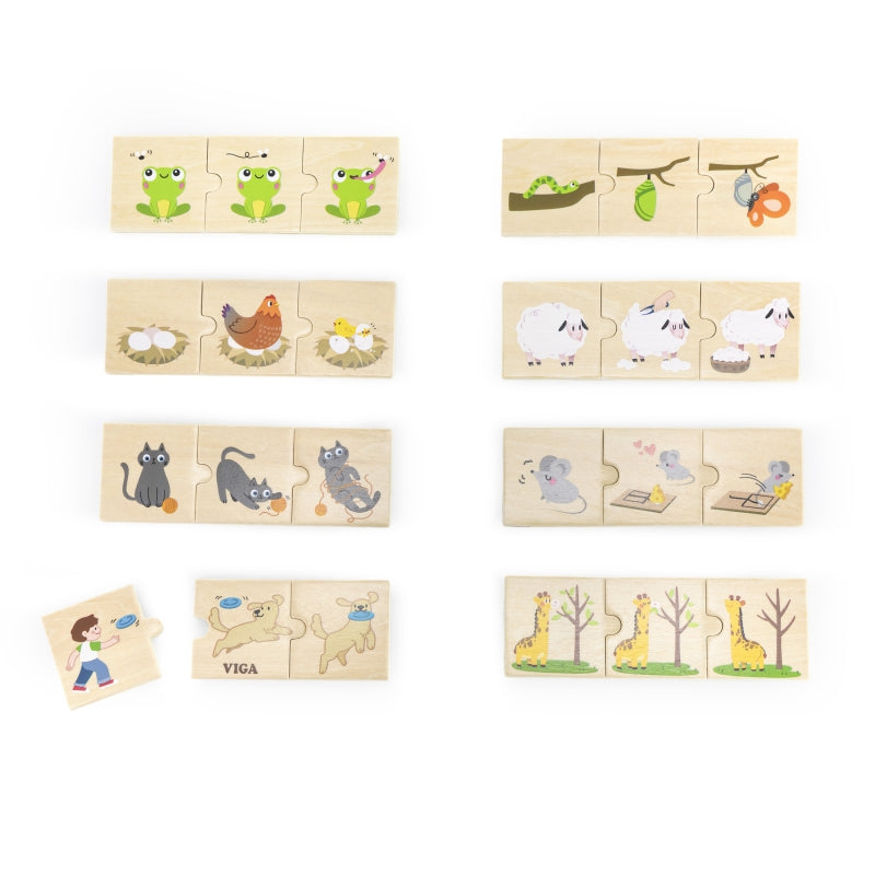 Medinė dėlionė, suderinti veiksmus